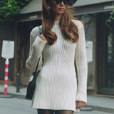 Rose | Women's Longsleeve Knit Mini Dress
